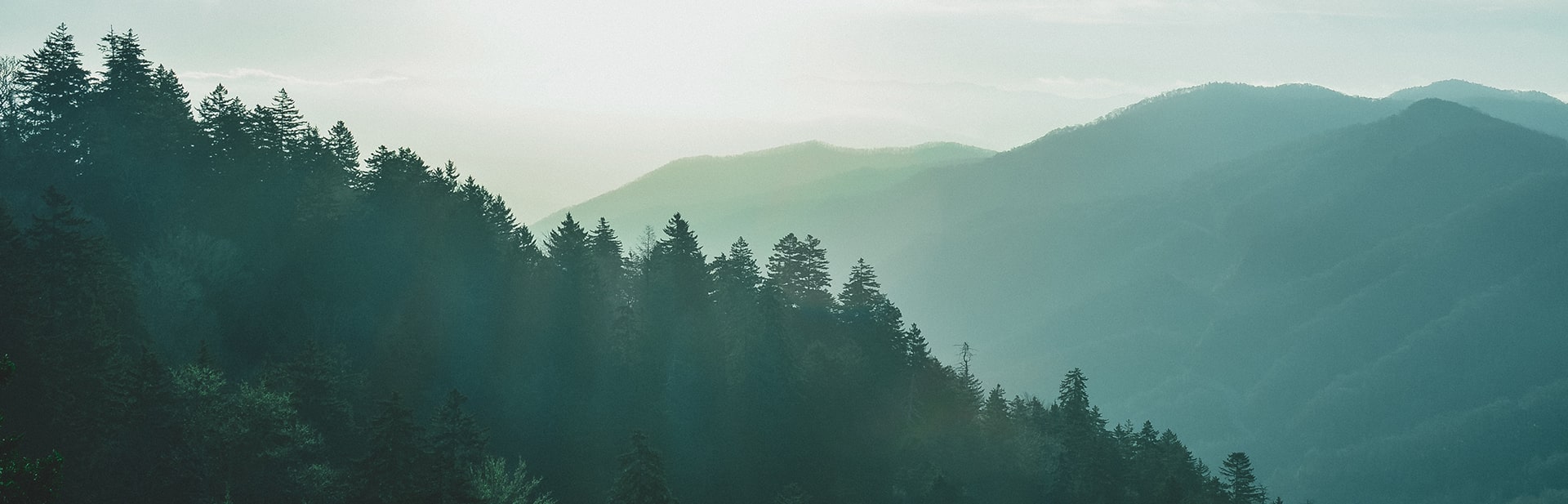 Orbit-itsolution.com